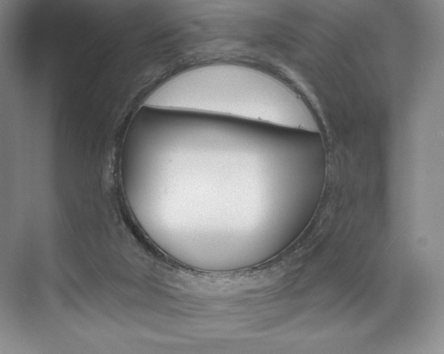 X0000073830018200608101013