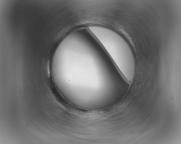 X0000073830020200608101013