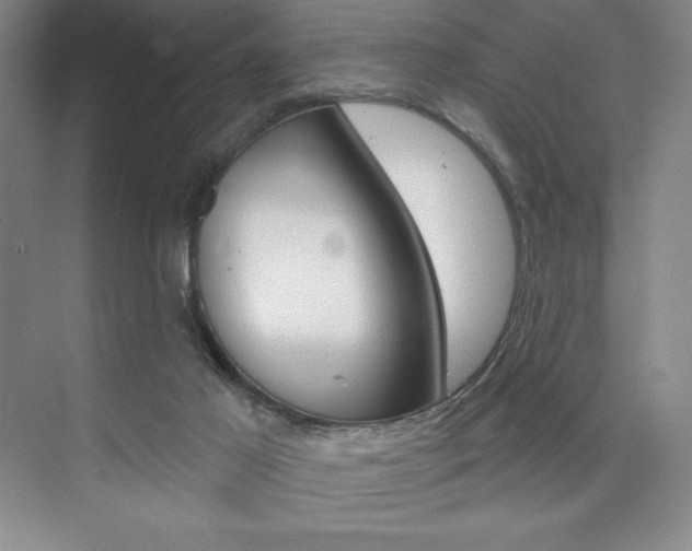 X0000073830021200608101013