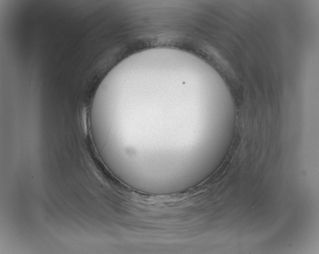 X0000073830022200608101013