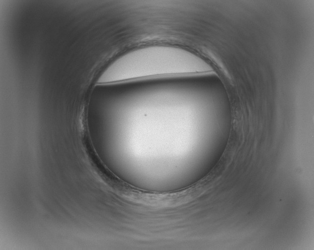 X0000073830023200608101013