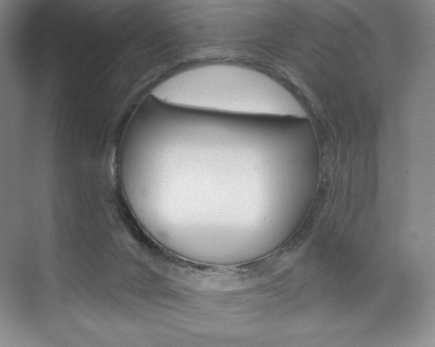 X0000073830024200608101013