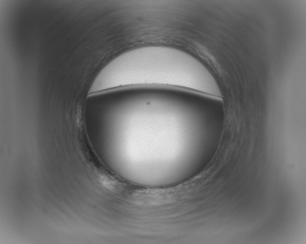 X0000073830025200608101013