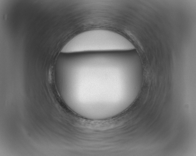 X0000073830026200608101013