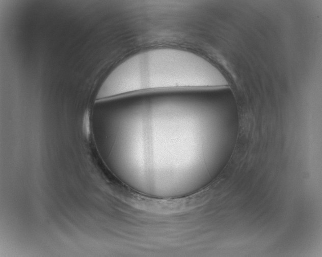 X0000073830027200608101013