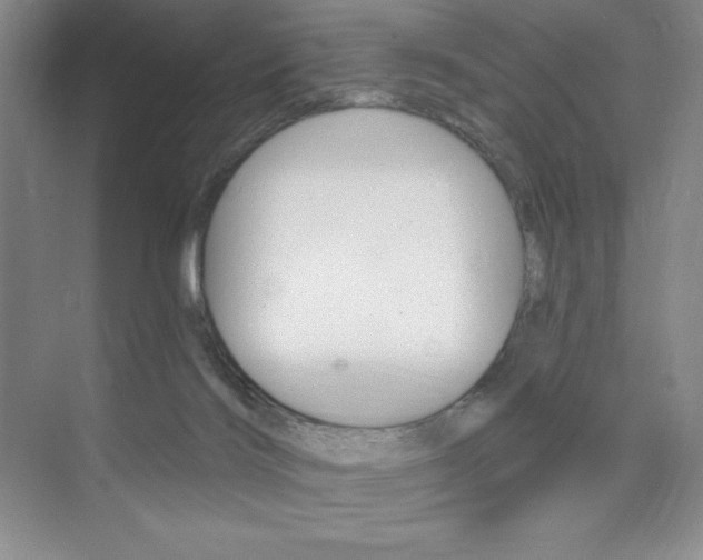 X0000073830028200608101013