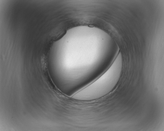 X0000073830029200608101013