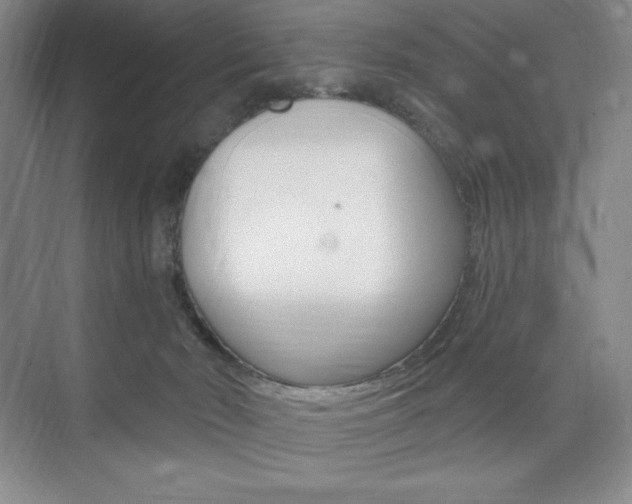 X0000073830030200608101013