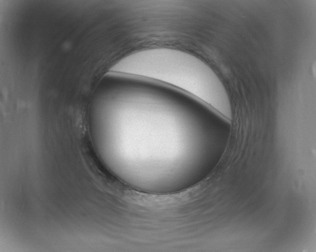 X0000073830031200608101013