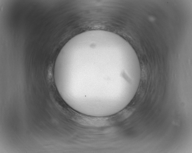 X0000073830032200608101013