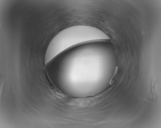 X0000073830033200608101013