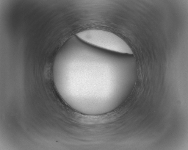 X0000073830034200608101013