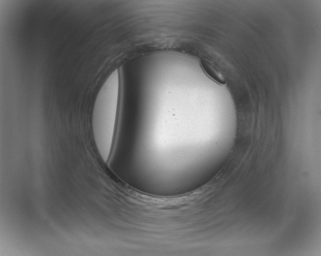 X0000073830035200608101013