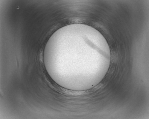 X0000073830036200608101013