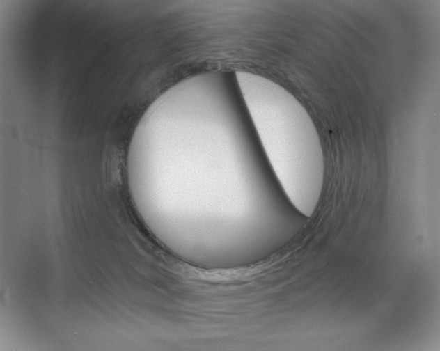 X0000073830038200608101013