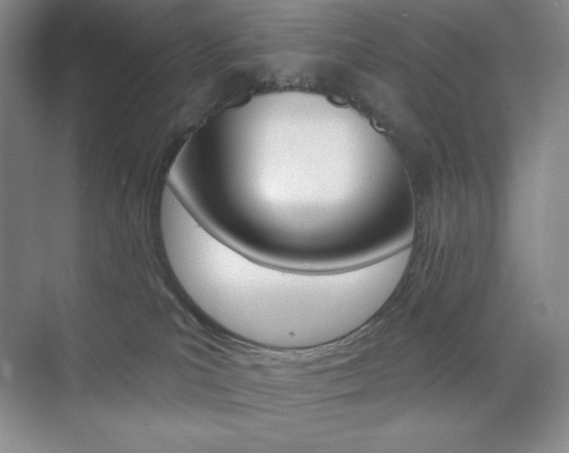 X0000073830039200608101013