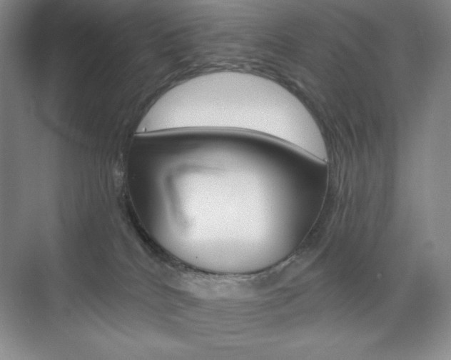 X0000073830040200608101013