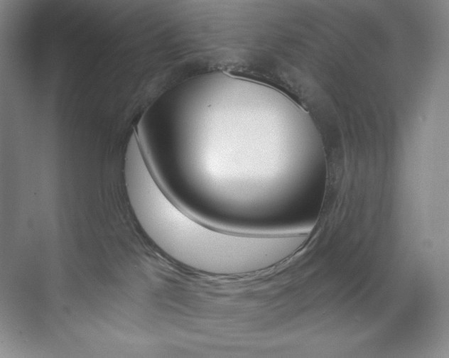 X0000073830041200608101013