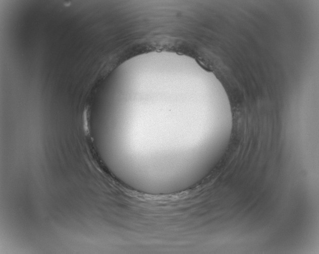 X0000073830042200608101013