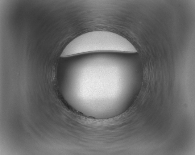 X0000073830043200608101013