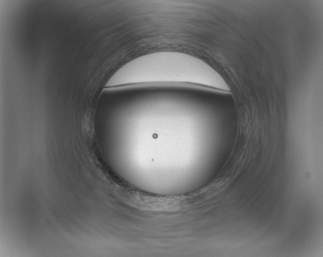 X0000073830044200608101013