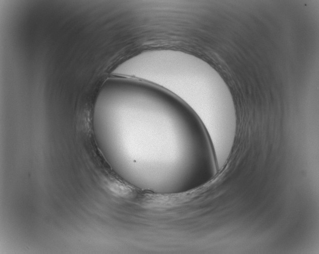 X0000073830045200608101013