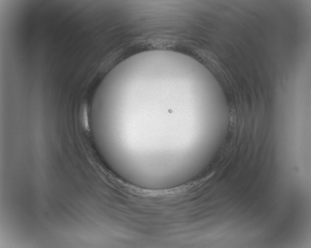 X0000073830046200608101013