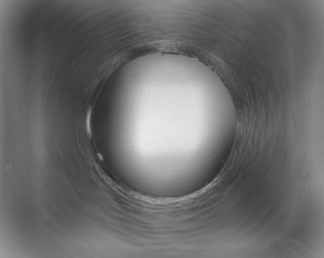 X0000073830047200608101013