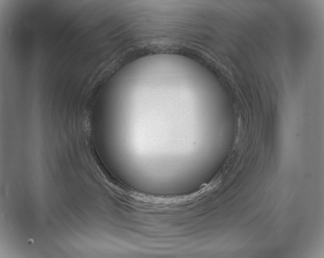 X0000073830048200608101013