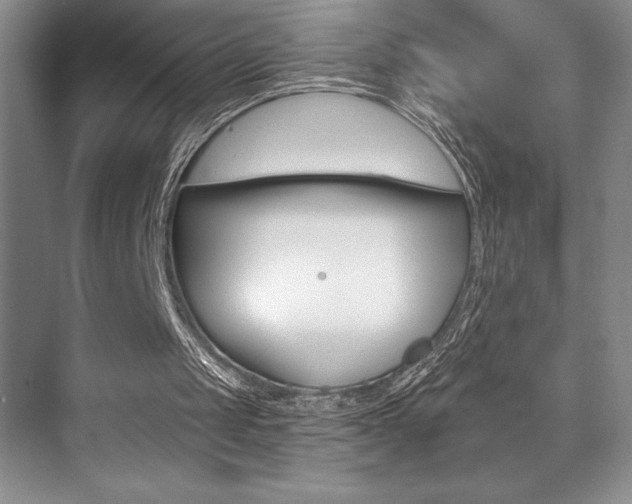 X0000073830049200608101012