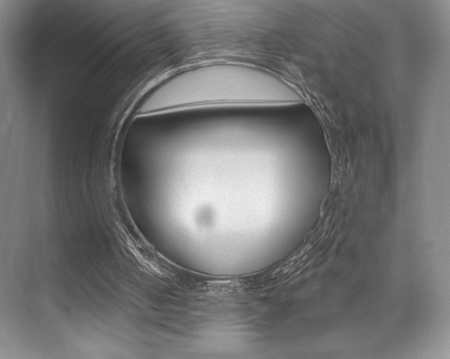 X0000073830050200608101012