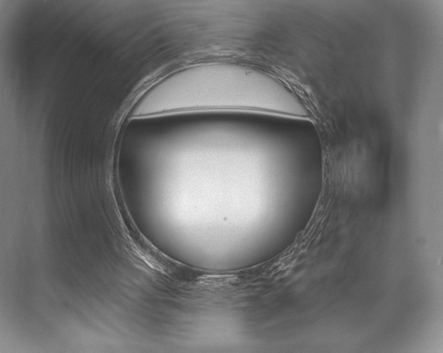 X0000073830051200608101012