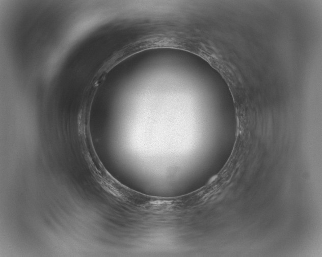 X0000073830052200608101012