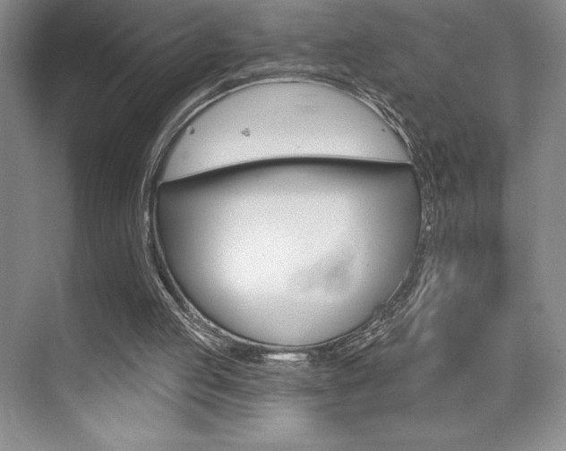 X0000073830053200608101012