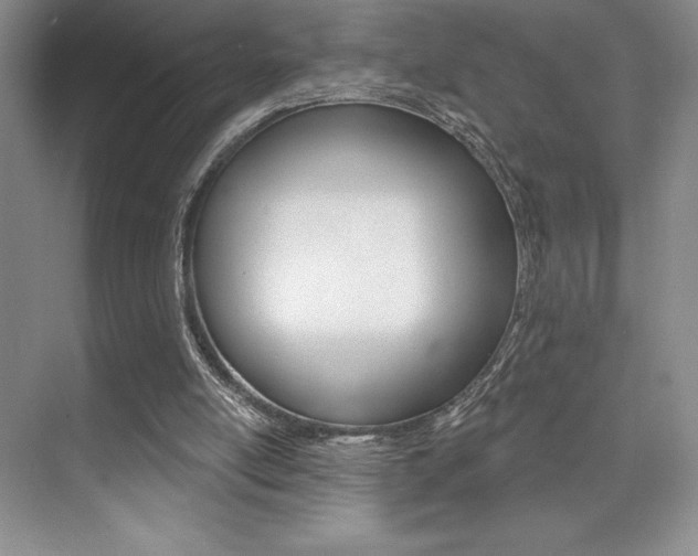 X0000073830054200608101012