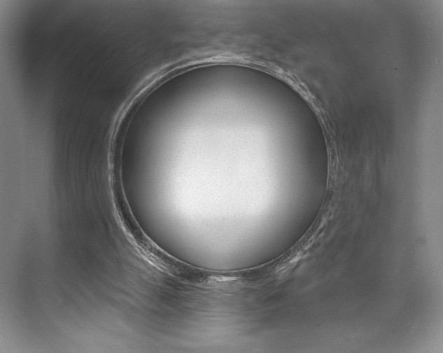 X0000073830055200608101012