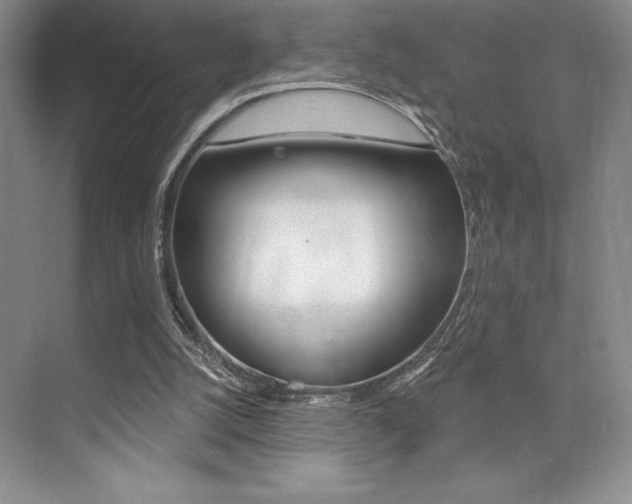 X0000073830056200608101012