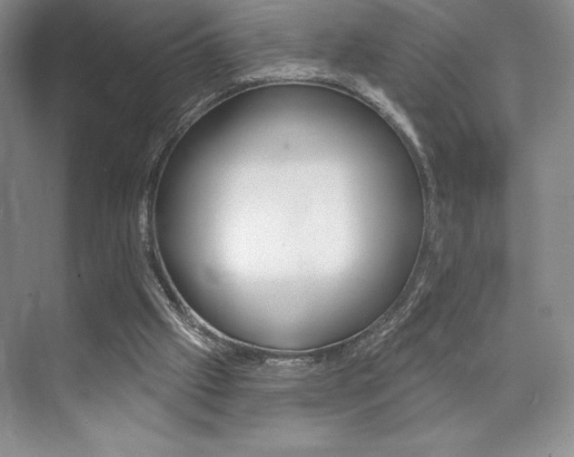 X0000073830057200608101012