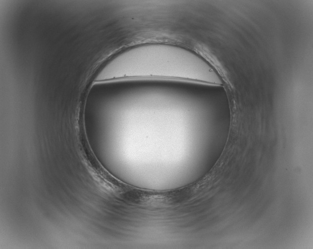 X0000073830058200608101012