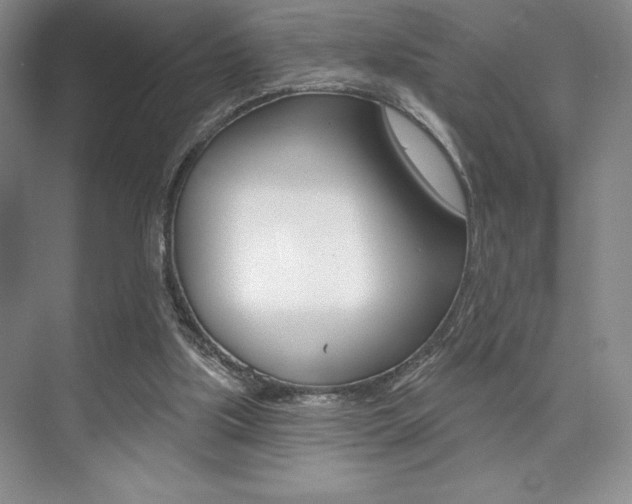 X0000073830059200608101012