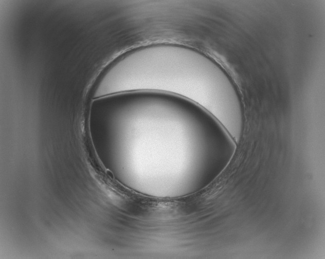 X0000073830060200608101012