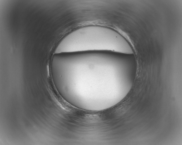 X0000073830061200608101012