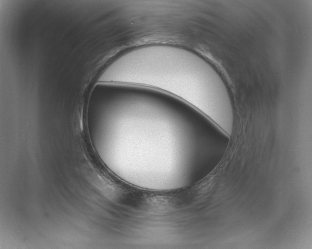 X0000073830062200608101012