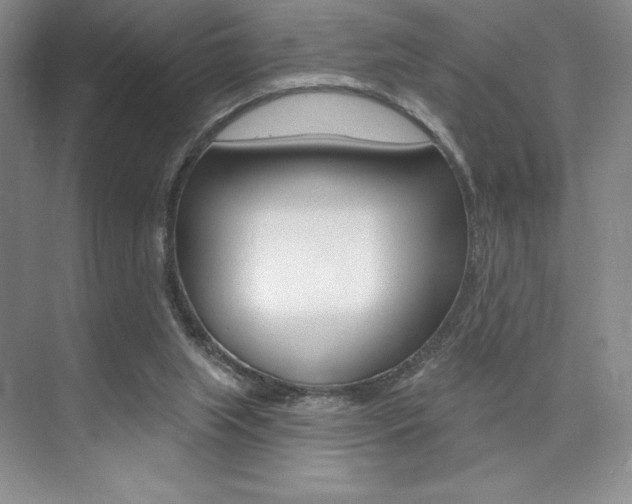 X0000073830063200608101012