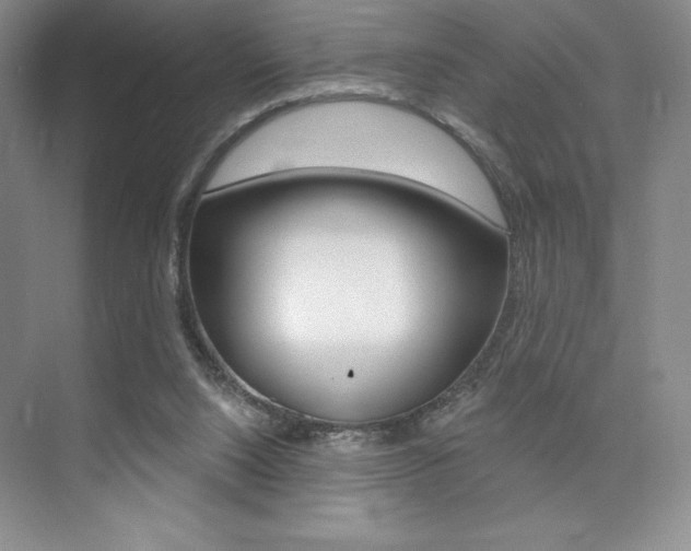 X0000073830064200608101012