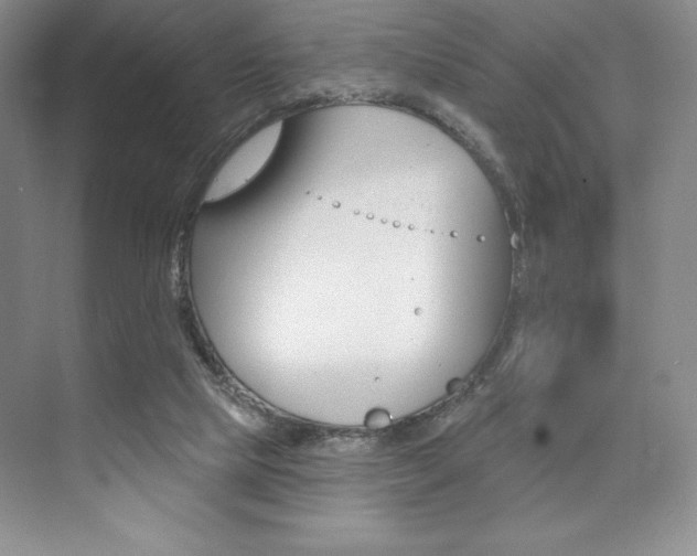 X0000073830065200608101012