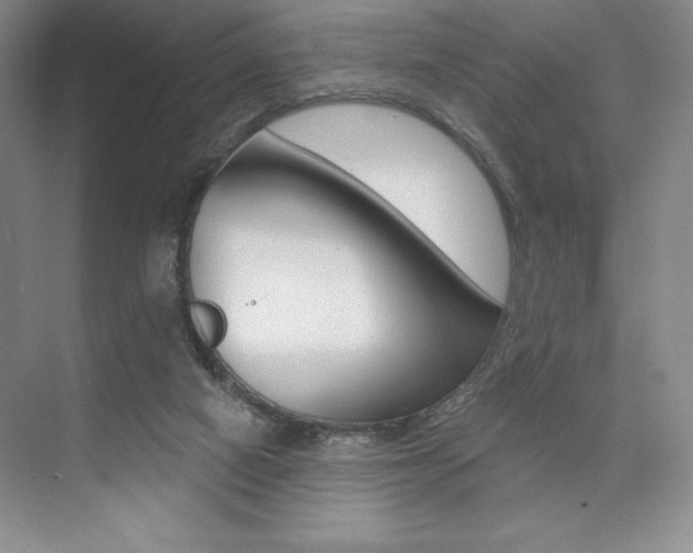 X0000073830066200608101012