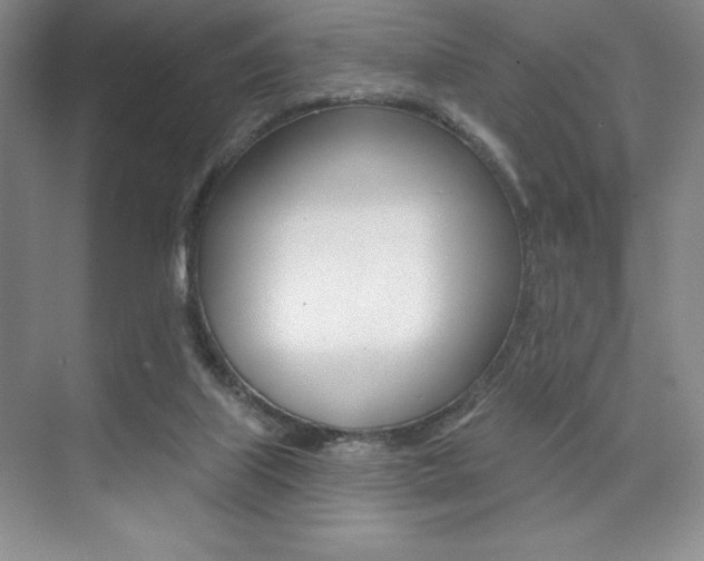 X0000073830067200608101012