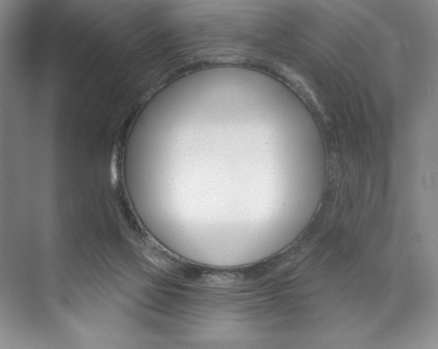 X0000073830069200608101012