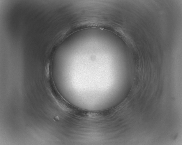 X0000073830070200608101012